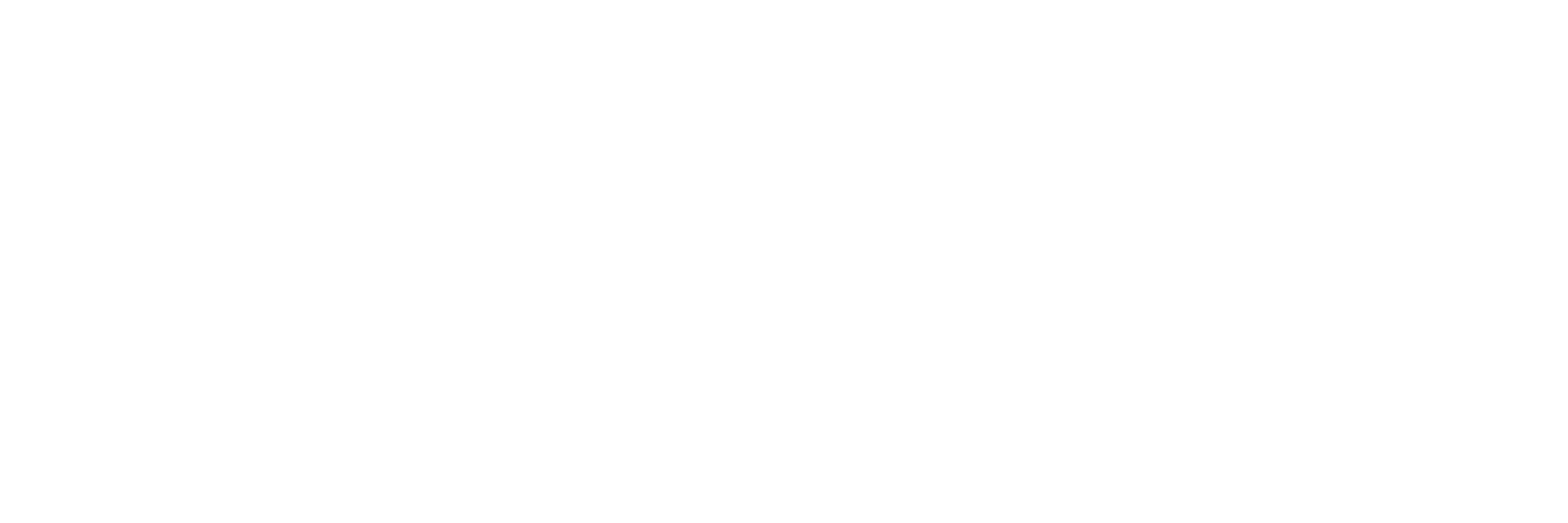 Santos Logo
